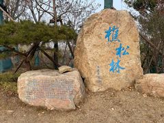 -南阳卧龙岗武侯祠