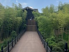 -大唐贡茶院
