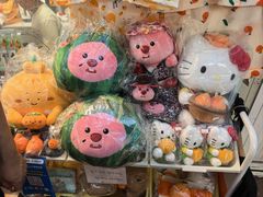 -西归浦每天偶来市场