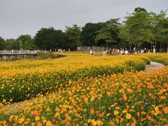 -海珠湖公园