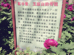 android_upload_pic-西安牡丹苑