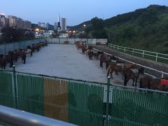 内景-鼎盛王朝康熙大典实景演出