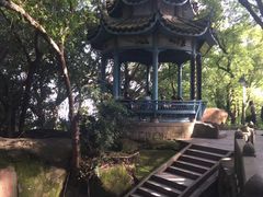 -乌山风景区