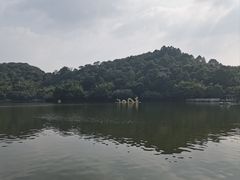 -西樵山风景名胜区-天湖公园