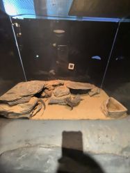 -Zoolung Zoolung动物主题公园(海信广场店)