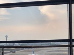 -上海浦东国际机场-T2航站楼