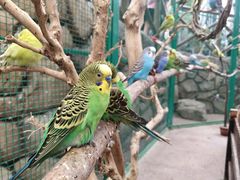 -杭州开元森泊度假乐园