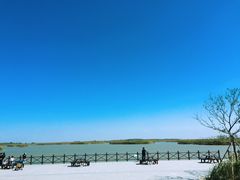 -盐城丹顶鹤湿地生态旅游区