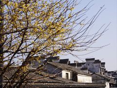 -上海杨姆庄园