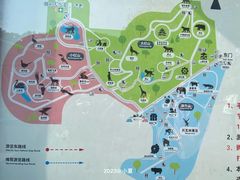 -红山森林动物园