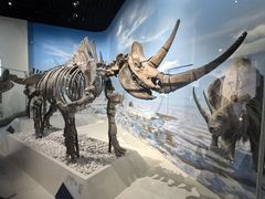 -国家自然博物馆