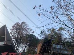 -巴倒烫陆派重庆火锅(南山店)