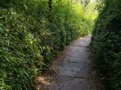 景点-黄河小浪底水利枢纽风景区
