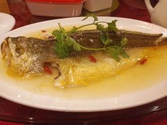 -正阳门饭庄·烤鸭·北京菜(万丰路七里庄店)