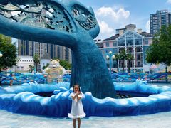 -海合安成都极地海洋公园