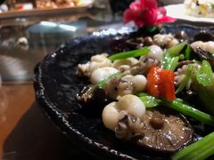 -东来菜馆•手抓海鲜家常菜•海鲜锅贴(鸽子窝店)
