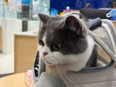 -芭比堂动物医院(广州爱宠下渡路分院)