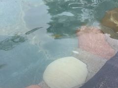 -地中海传奇水汇