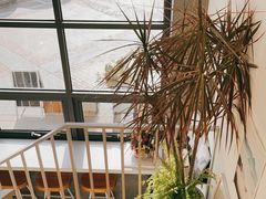 -隹木咖啡馆(宝龙广场店)