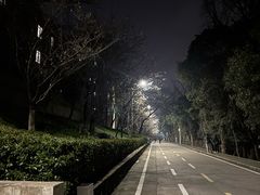 -武汉大学-樱园