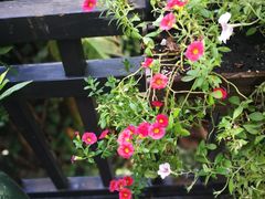 -苏州独墅湖书香世家酒店