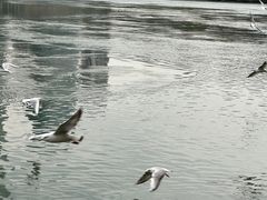 -中国宜宾·长江地标广场