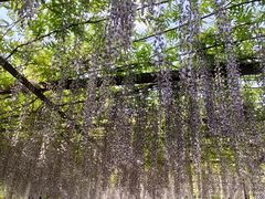 -无名居(西直门总店)