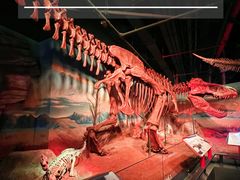 -正佳自然科学博物馆