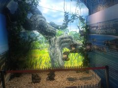 -青岛葡萄酒博物馆