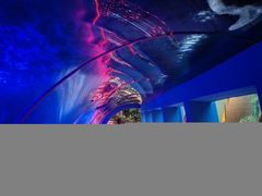 -北国之春国宴(乌兰察布店)