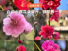 -桃花涧