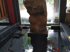 -旅马餐厅(茅家埠店)