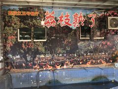 -荔枝红五号农庄
