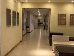 -爱康卓悦体检中心(河西新地中心分院)