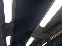 -海洋公园海洋列车－海滨站