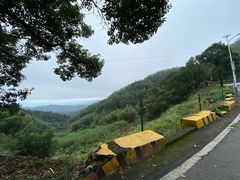 -大围山国家森林公园