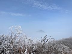 -阳台山自然风景区