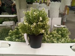 -宜家家居(西安未央商场店)