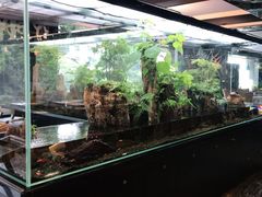 -泰谷酒店·太古码头闽菜自助餐厅