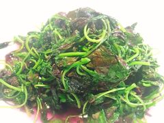 -黄鹤楼湖北特色菜(高碑店)