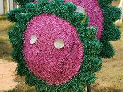 -武汉紫薇都市田园