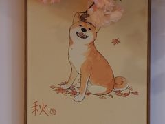 -南京Hallo宠物乐园·哈罗犬舍·柴犬繁育基地