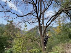 -丹山赤水风景名胜区