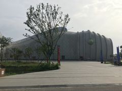 -泗洪洪泽湖湿地景区