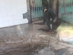 -宁波野生动物园