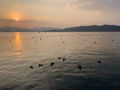 -西湖外事游船(湖滨二公园外事游船码头)