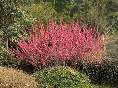 -菊花台公园