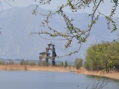 -野鸭湖国家湿地公园