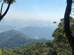 -阳台山森林公园