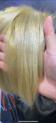 点击看大图 -PE SALON